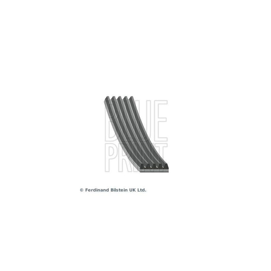 Blue Print Ad05R1237 V-Ribbed Belt
