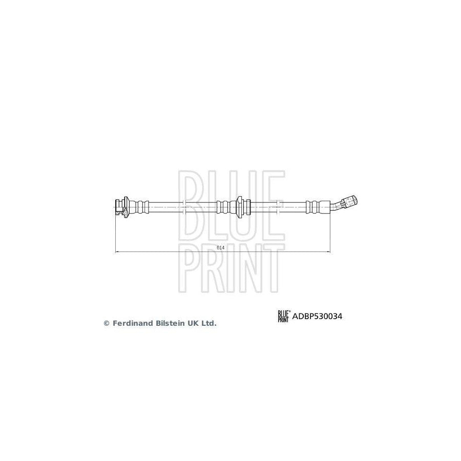 Blue Print Adbp530034 Brake Hose for Nissan Qashqai II (J11)