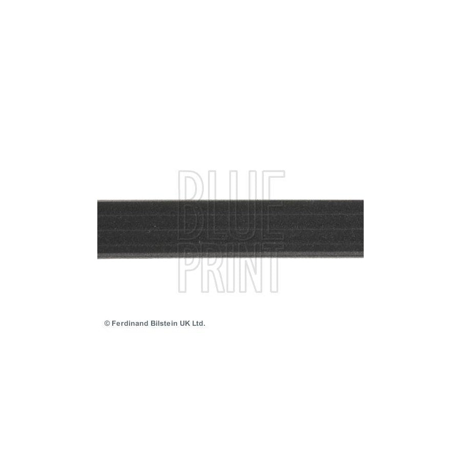 Blue Print Adc49609 V-Ribbed Belt