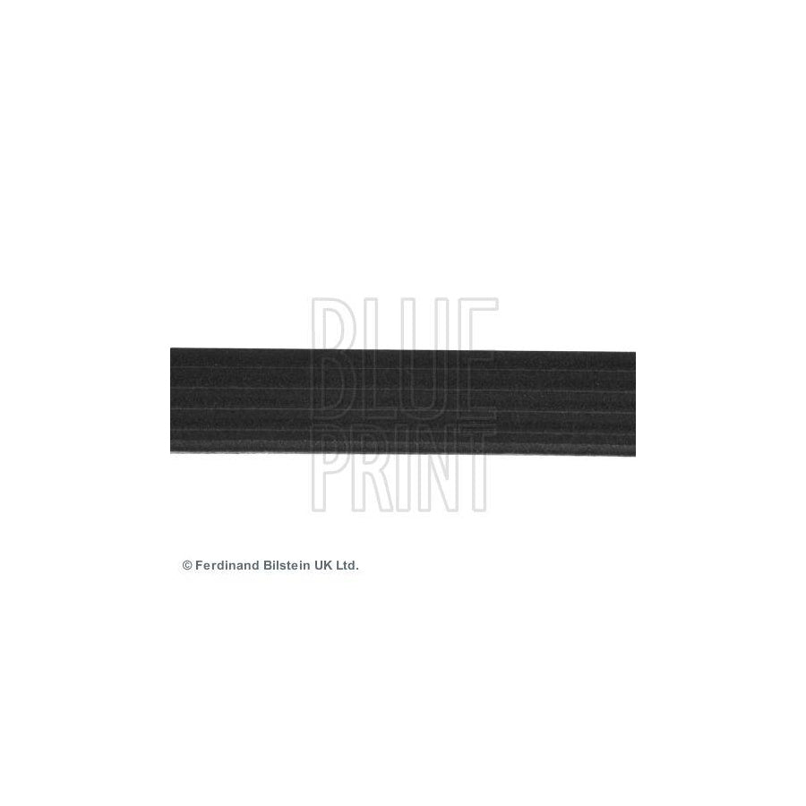 Blue Print Adc49624 V-Ribbed Belt