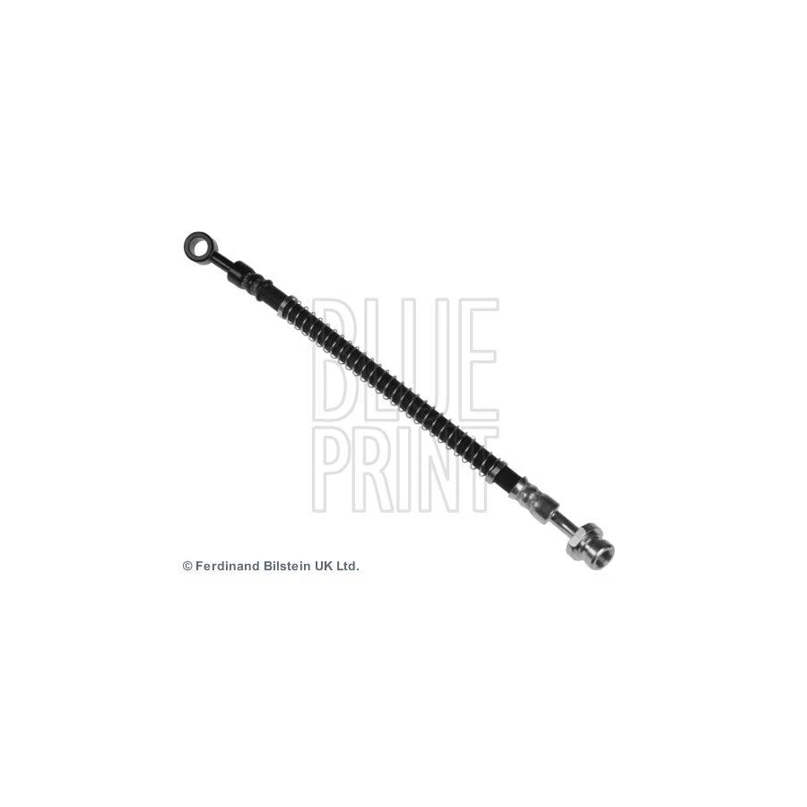 Blue Print Adg053116 Brake Hose for Hyundai Atos