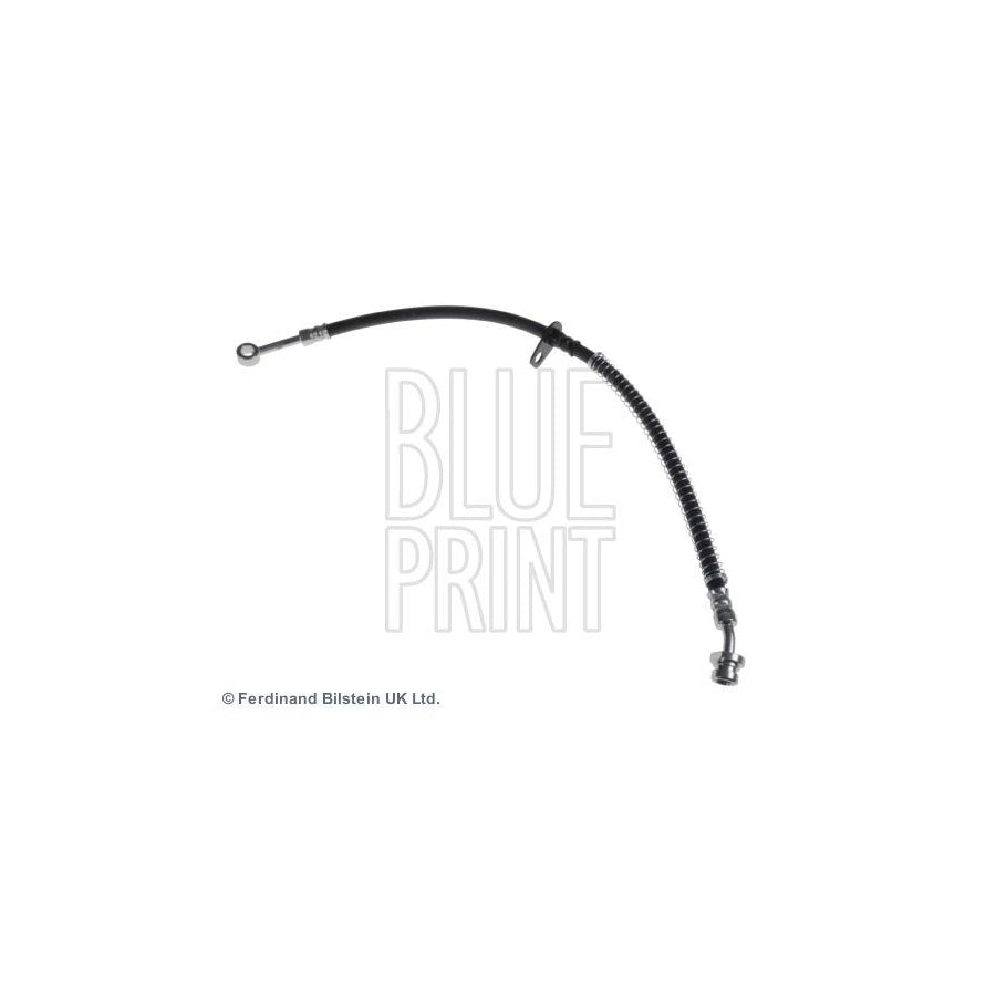 Blue Print Adg09616 V-Ribbed Belt