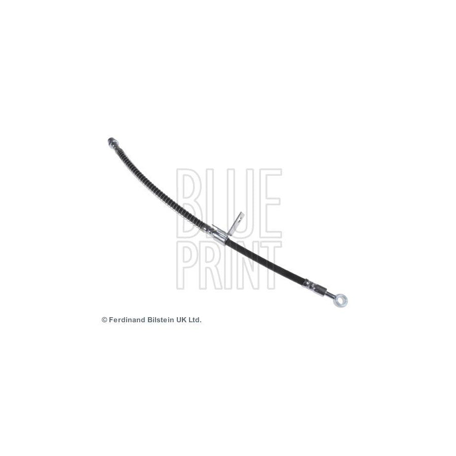 Blue Print Adg09624 V-Ribbed Belt
