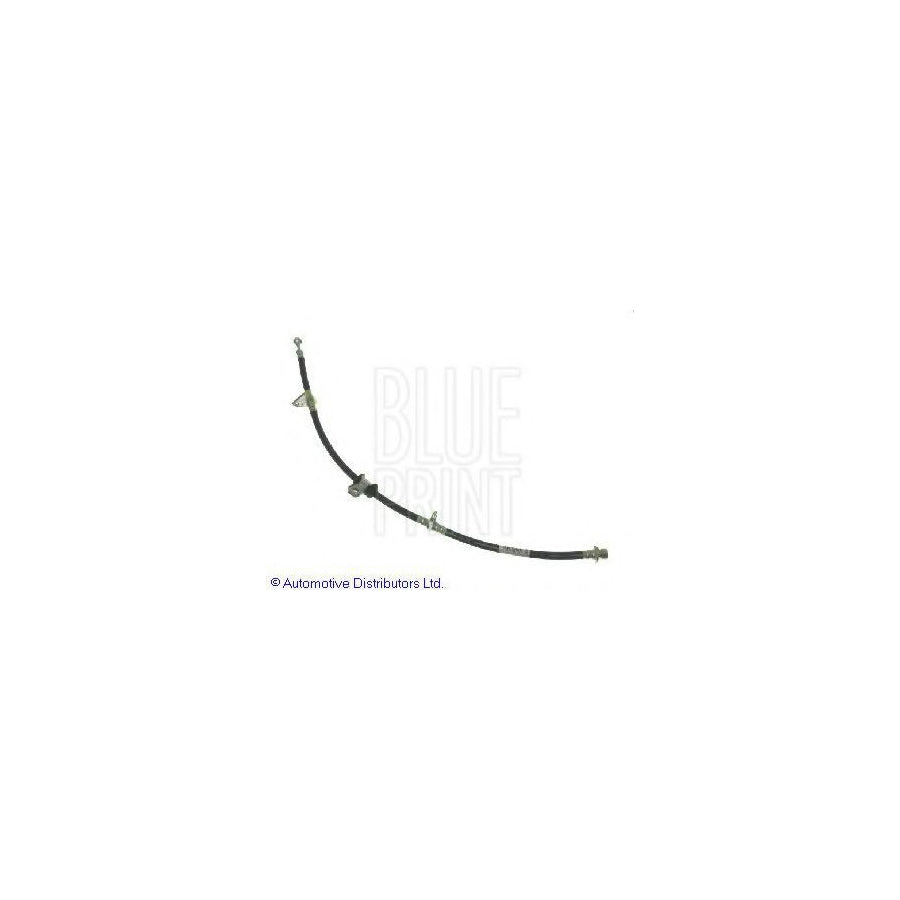 Blue Print Adh25312 Brake Hose for Honda Accord