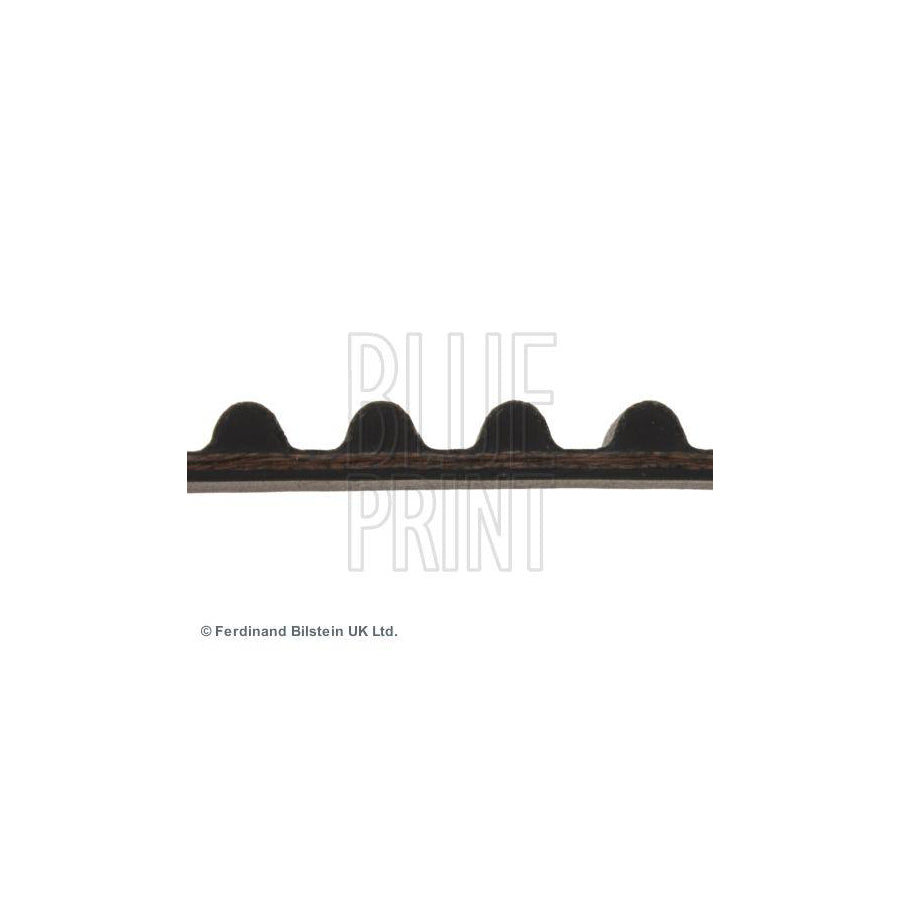 Blue Print Adh27510 Timing Belt