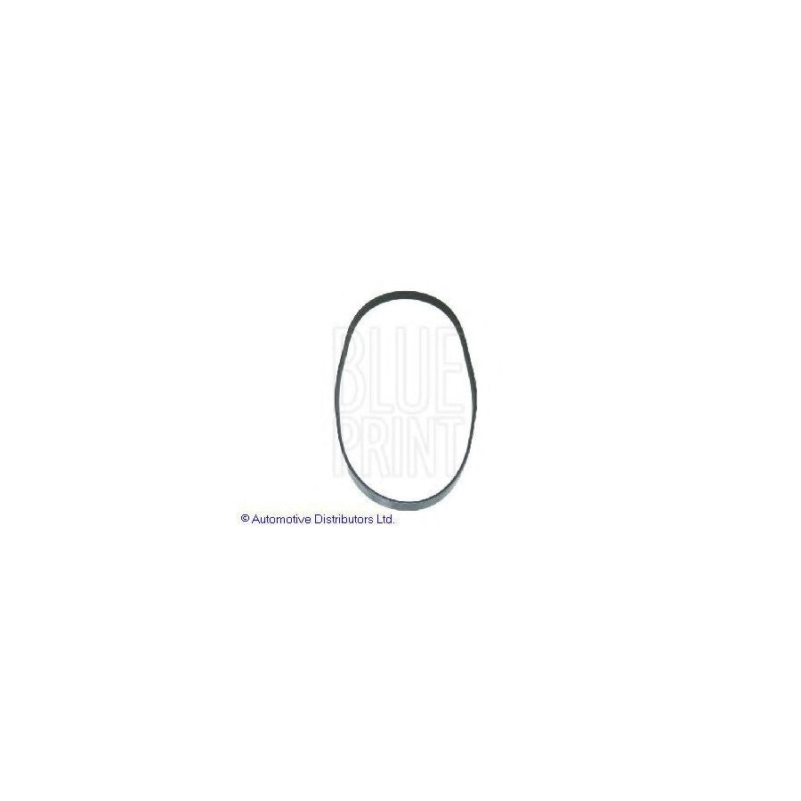Blue Print Adh29625 V-Ribbed Belt