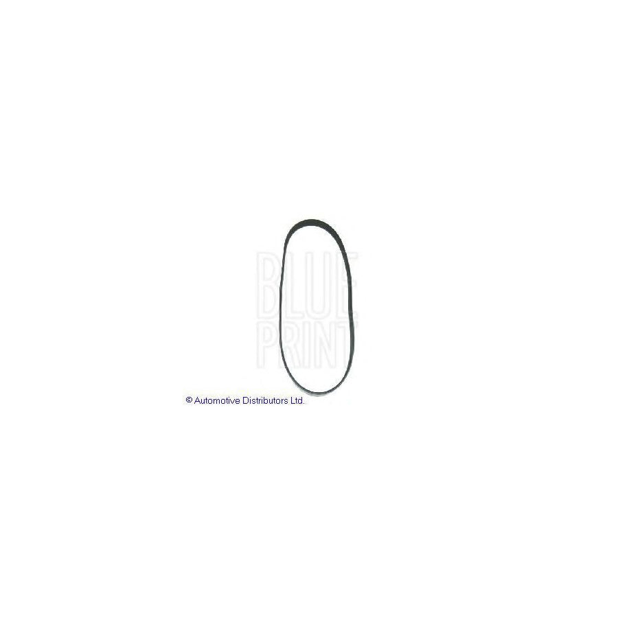 Blue Print Adh29627 V-Ribbed Belt