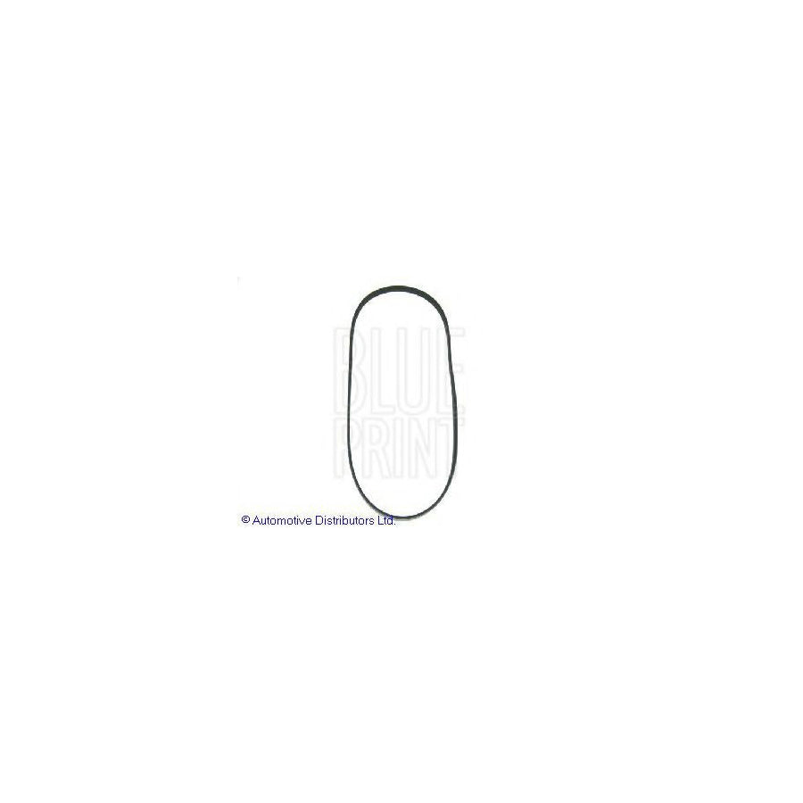 Blue Print Adh29630 V-Ribbed Belt for Honda Accord