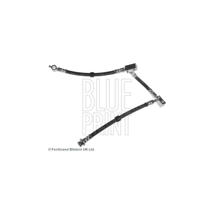 Blue Print Adn153161 Brake Hose for Nissan Primera