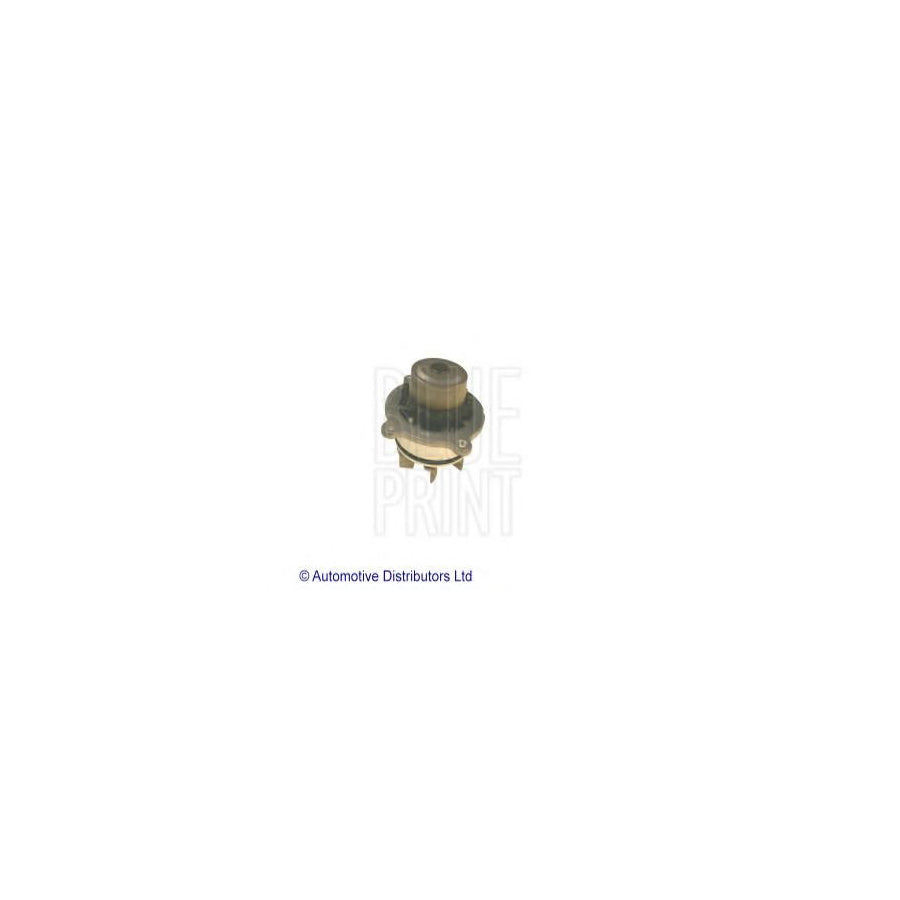 Blue Print Ads79121C Water Pump