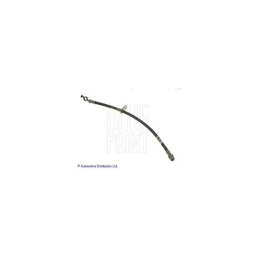 Blue Print Adt353119 Brake Hose