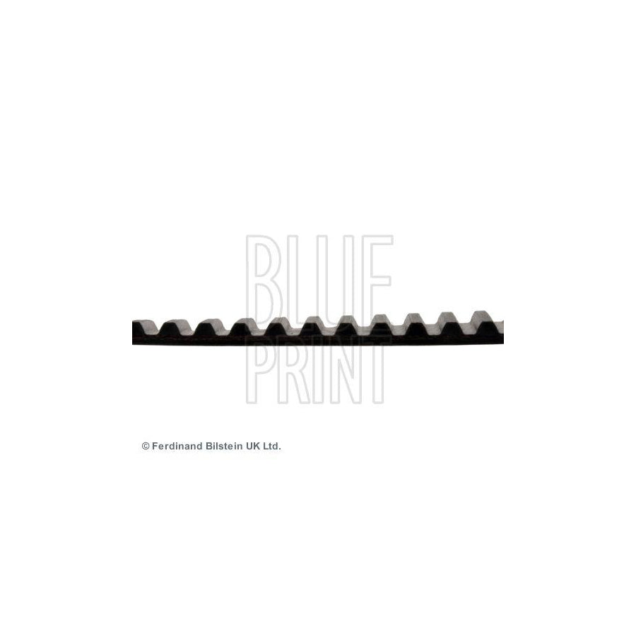 Blue Print Adt37534 Timing Belt