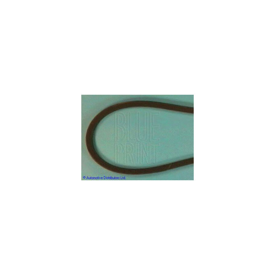 Blue Print Adt39608 V-Ribbed Belt