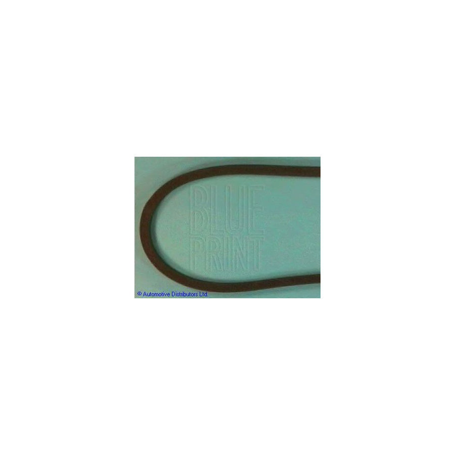 Blue Print Adt39616 V-Ribbed Belt