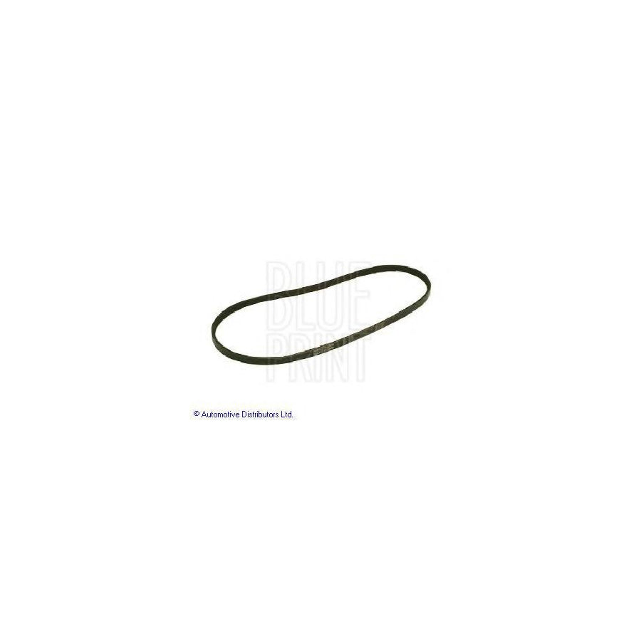 Blue Print Adt39634 V-Ribbed Belt