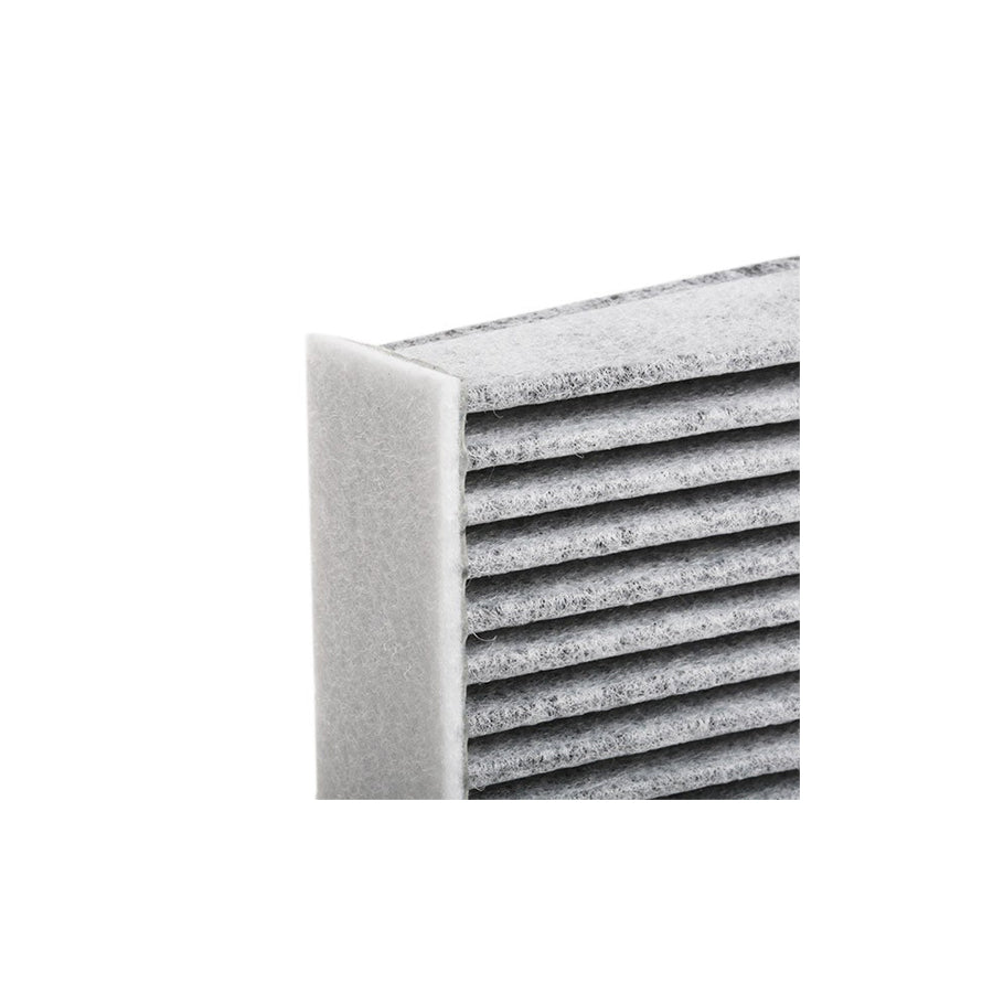Blue Print Adv182531 Pollen Filter