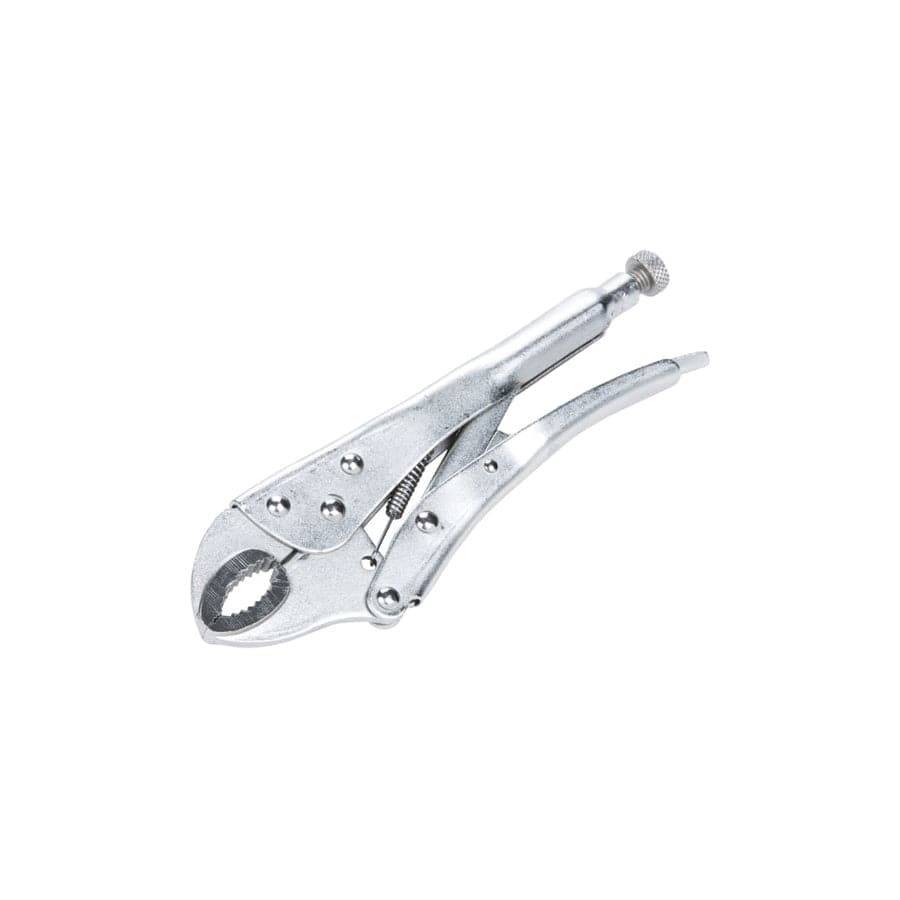 BlueSpot Tools B/S06524 Locking Pliers 254mm (10in)