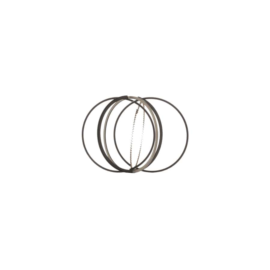 Borsehung 11981629705 Piston Ring Kit