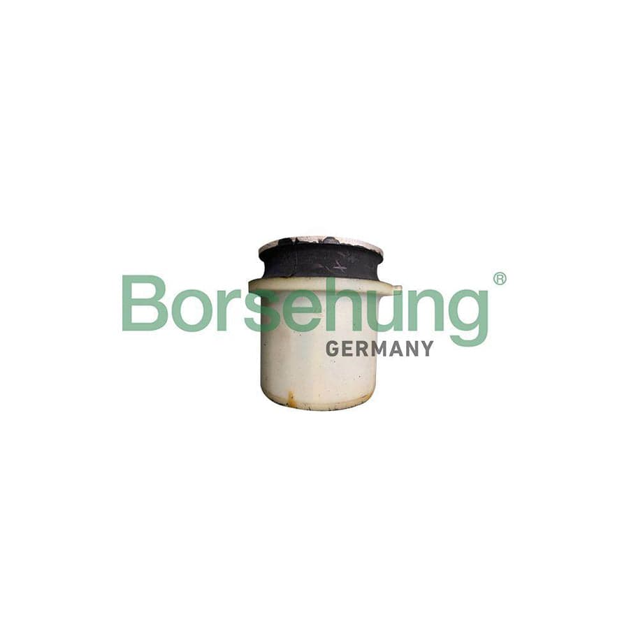 Borsehung B10030 Axle Bush
