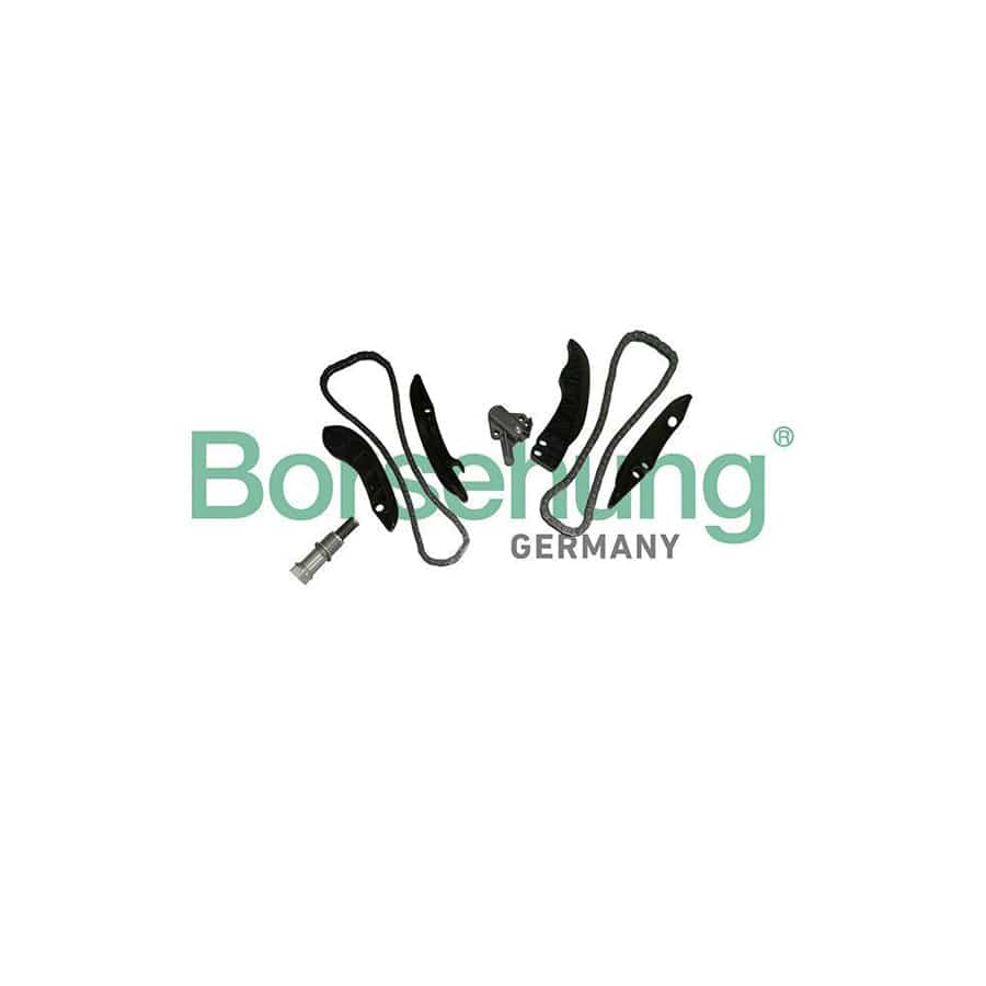 Borsehung B10202 Timing Chain Kit