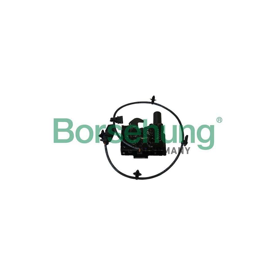 Borsehung B10262 Bonnet Lock