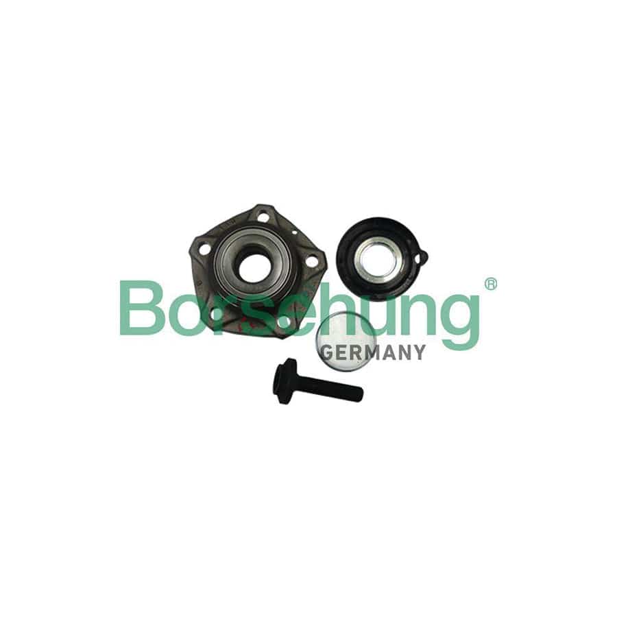 Borsehung B11288 Wheel Bearing Kit