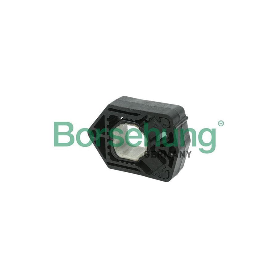 Borsehung B11358 Mounting, Radiator for Skoda Octavia