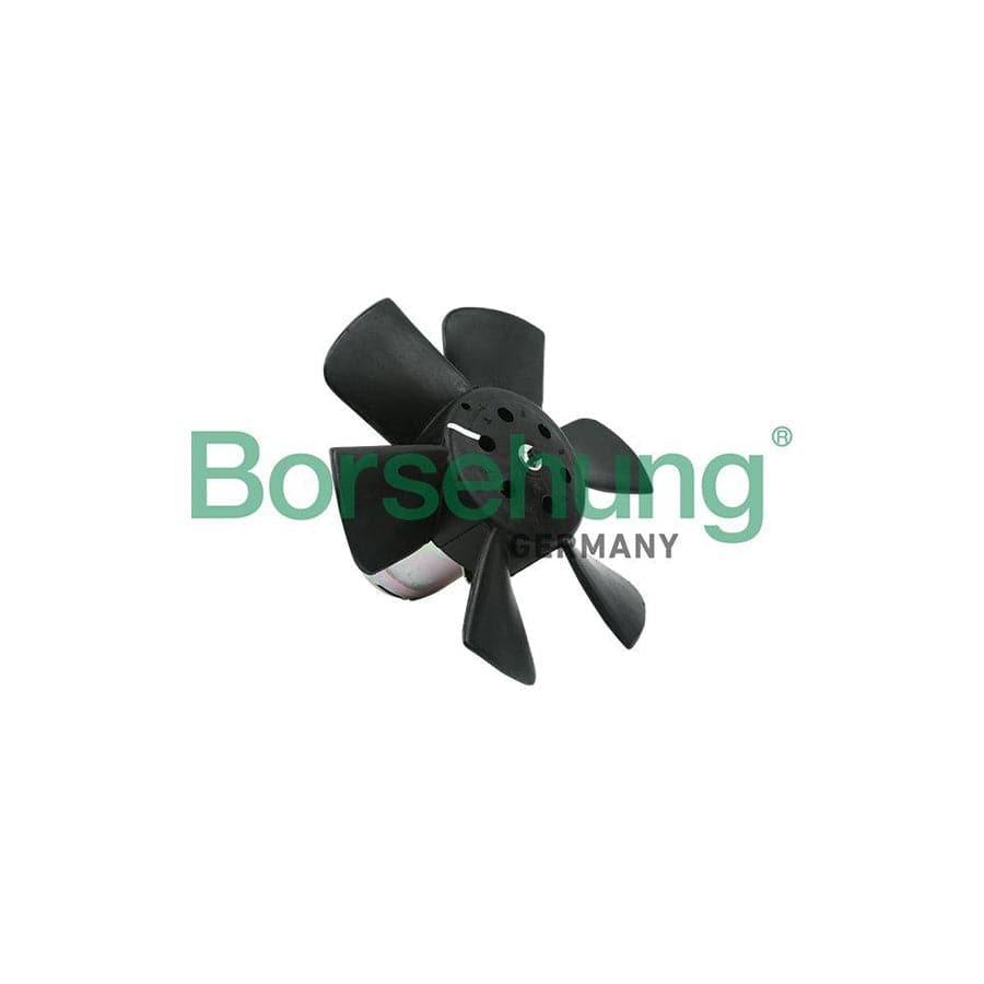 Borsehung B11486 Fan, Radiator