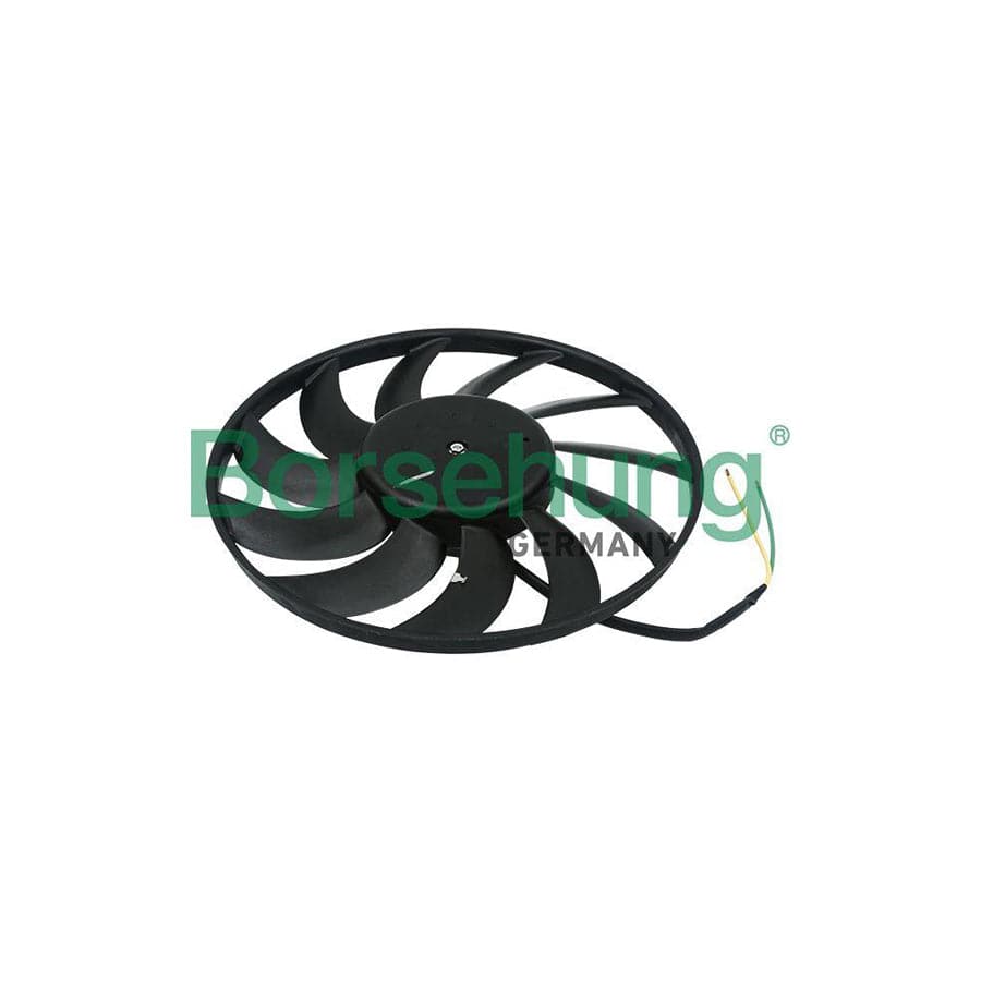 Borsehung B11490 Fan, Radiator