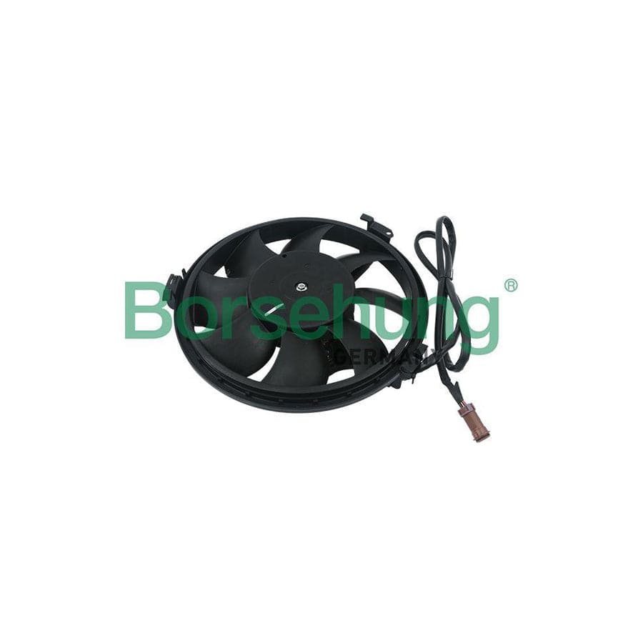 Borsehung B11491 Fan, Radiator