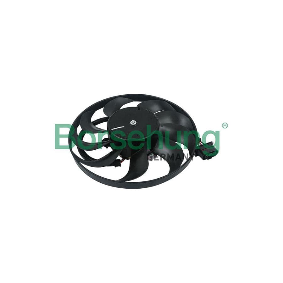 Borsehung B11494 Electric Motor, Radiator Fan
