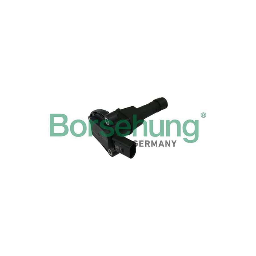 Borsehung B11841 Sensor, Engine Oil Level