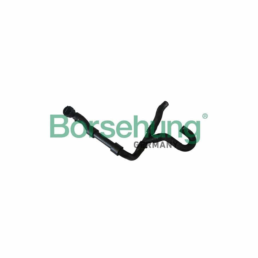 Borsehung B11987 Radiator Hose