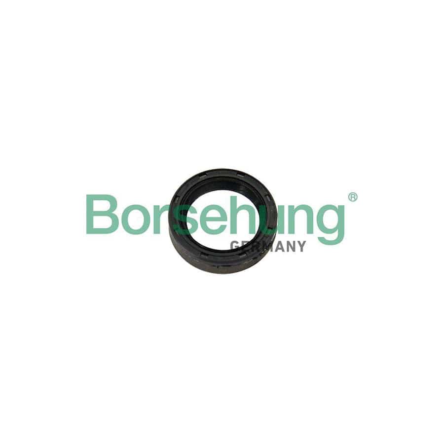 Borsehung B12192 Seal, Releaser Shaft