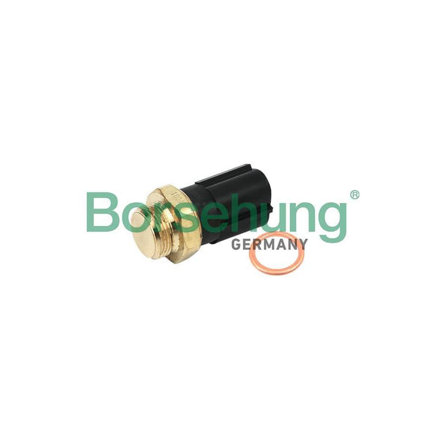 Borsehung B13129 Temperature Switch, Radiator Fan