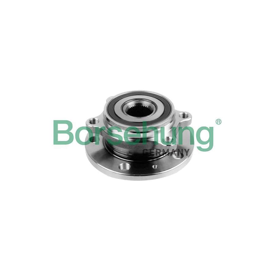Borsehung B15625 Wheel Bearing Kit
