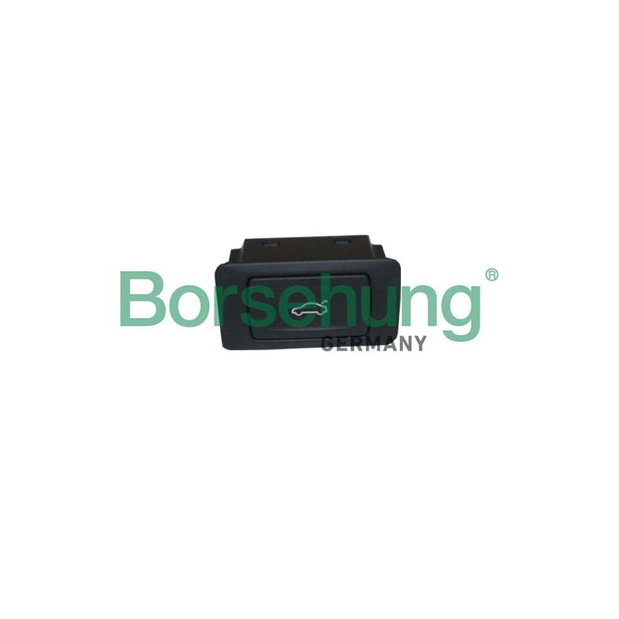 Borsehung B18124 Switch, Rear Hatch Release