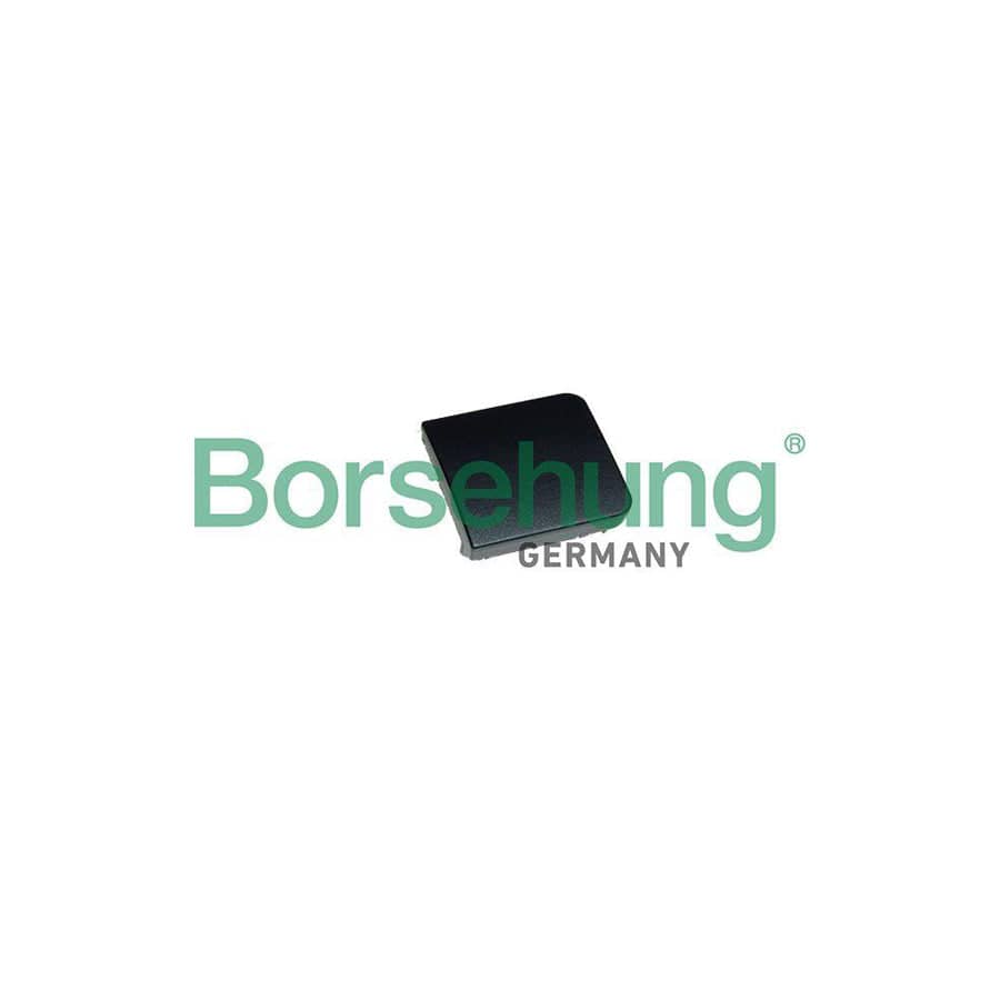 Borsehung B18548 Switch Cover