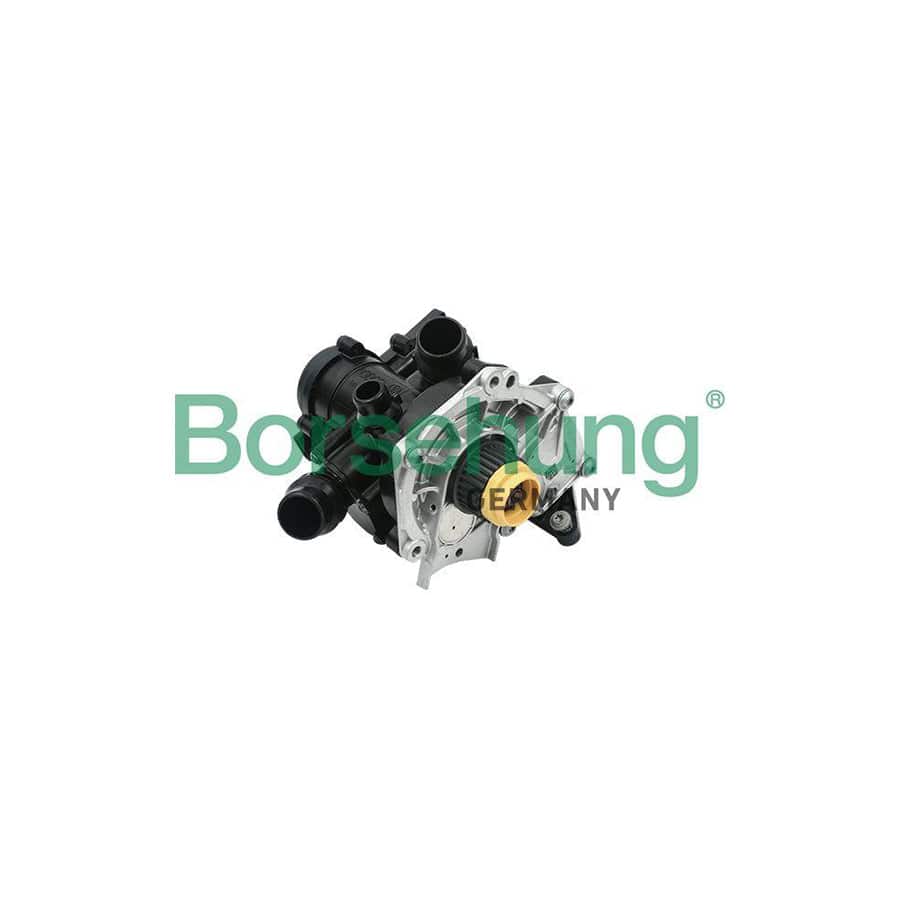 Borsehung B18760 Water Pump