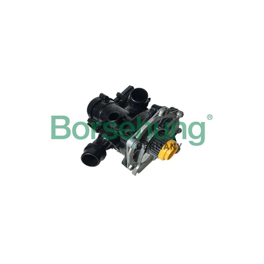 Borsehung B18971 Water Pump