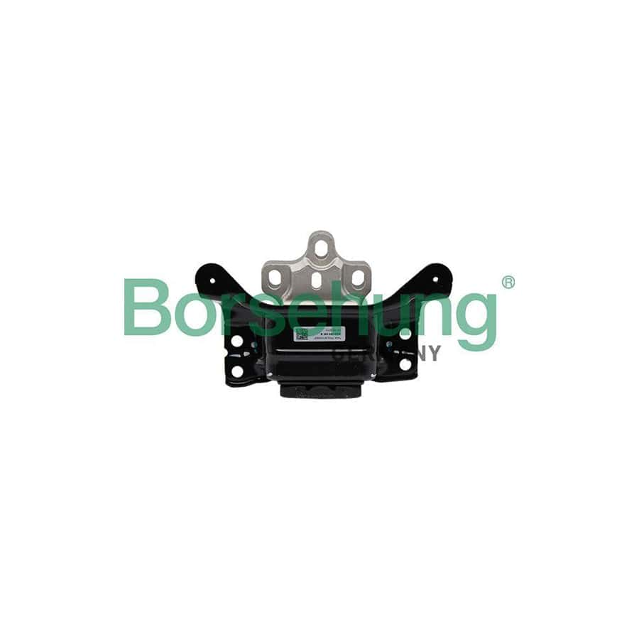 Borsehung B19097 Engine Mount