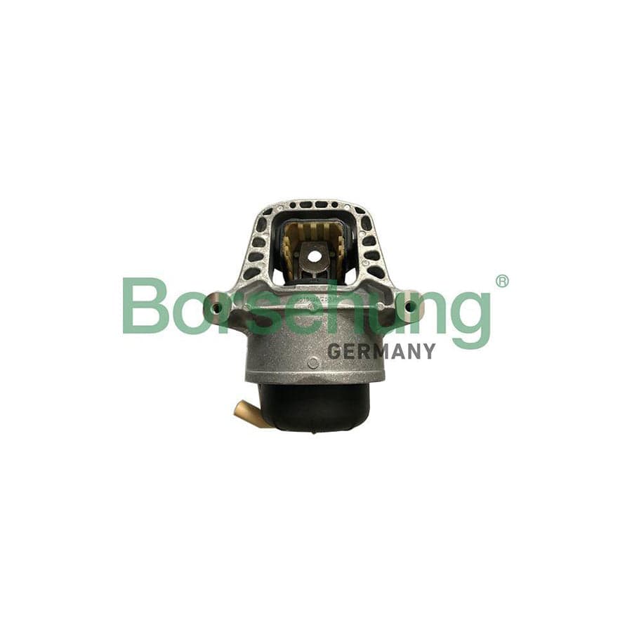 Borsehung B19134 Engine Mount for Audi A4
