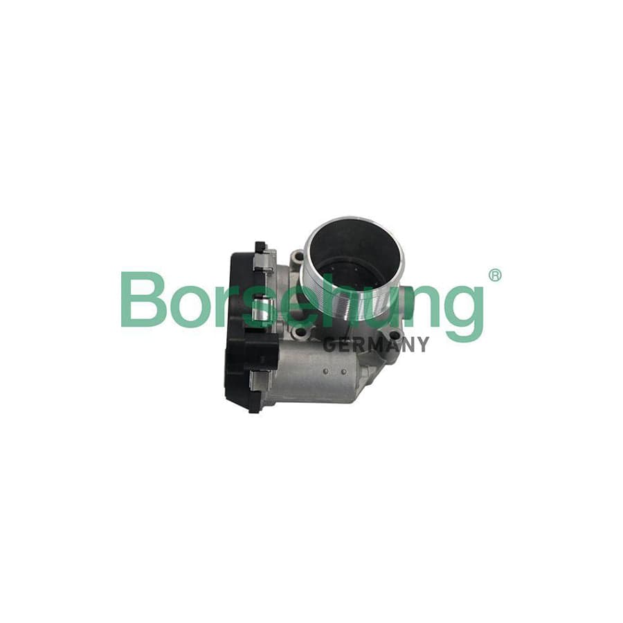 Borsehung B19171 Throttle Body