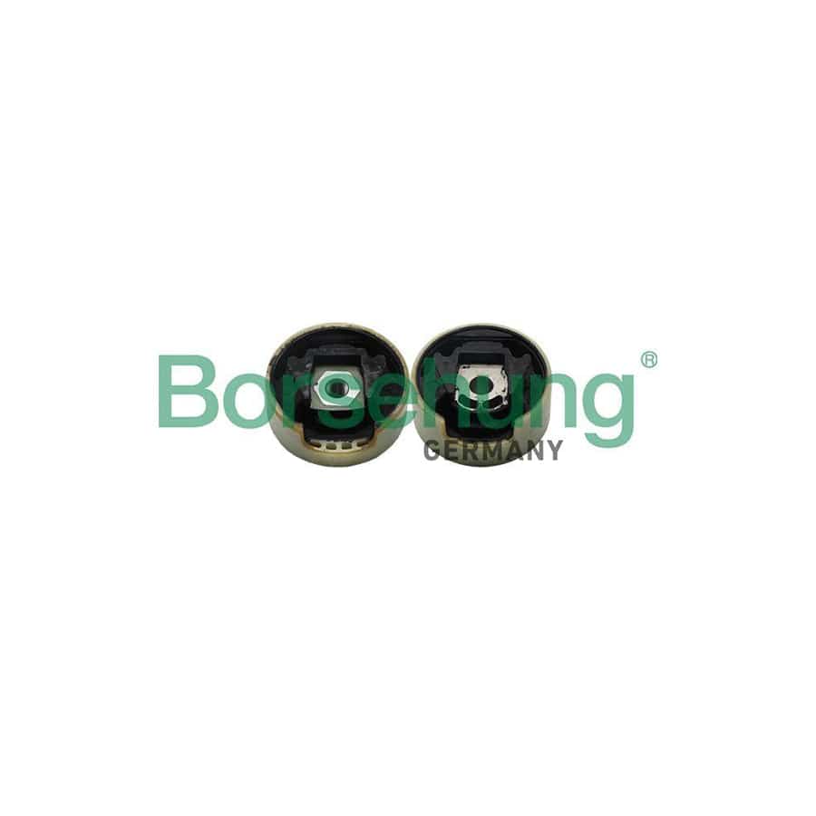 Borsehung B19258 Axle Bush