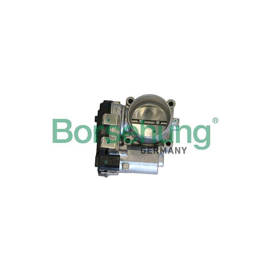 Borsehung B19290 Throttle Body