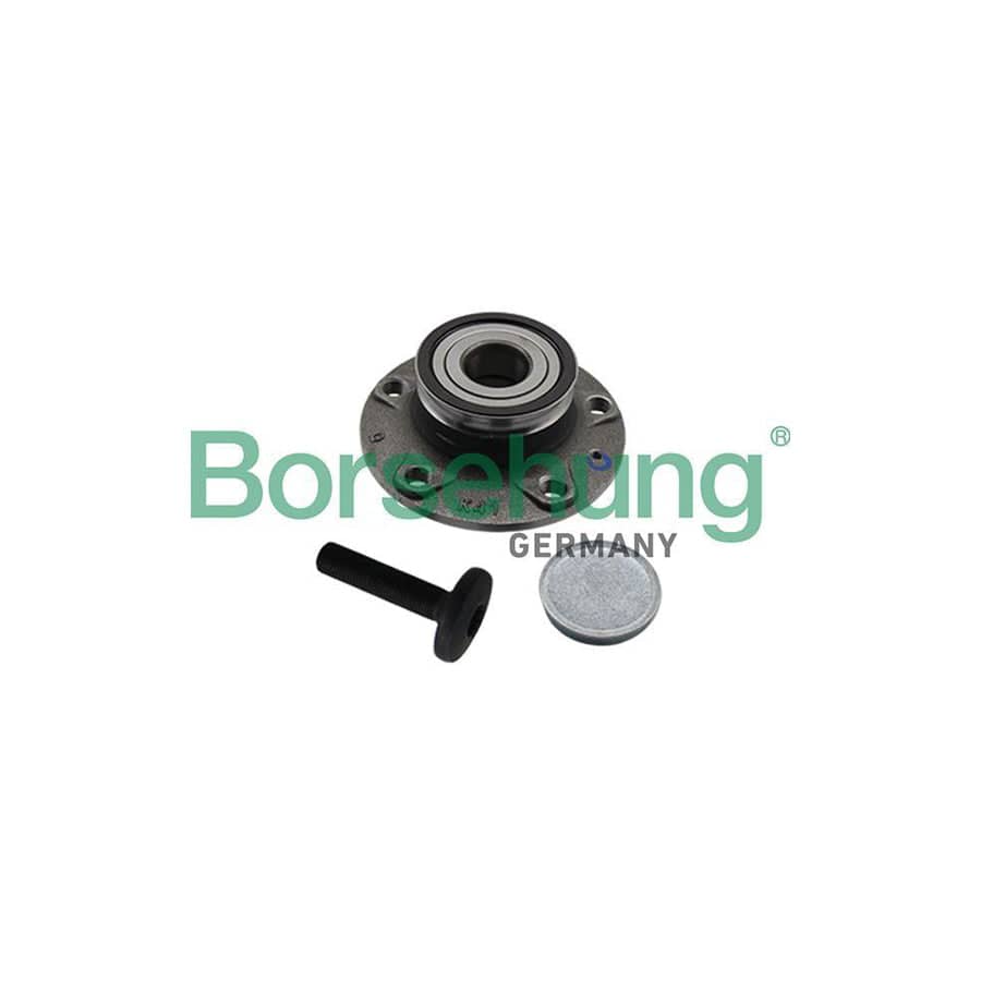 Borsehung B19310 Wheel Bearing Kit