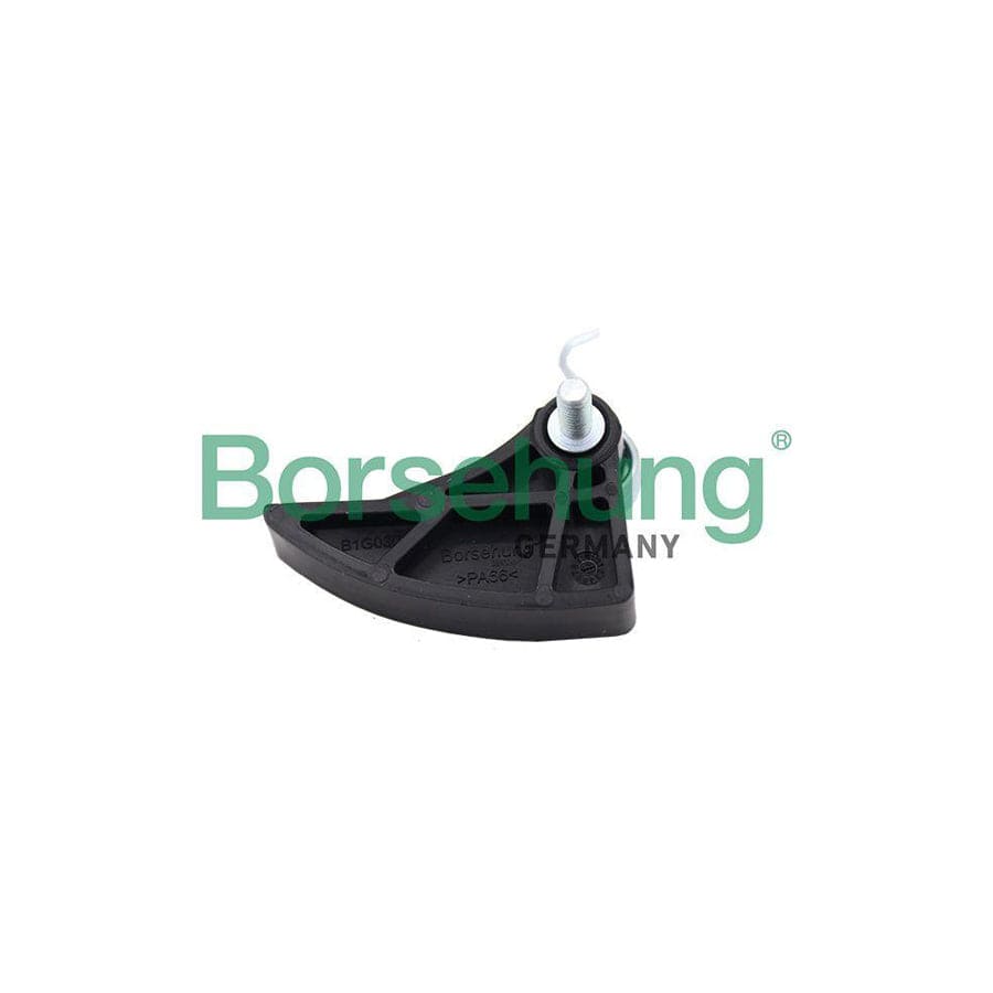 Borsehung B1G030 Chain Tensioner, Oil Pump Drive