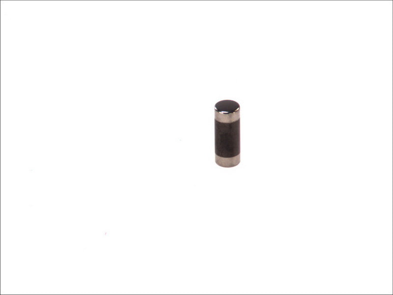 BOSCH 100-002 Fuel Supply System Valve