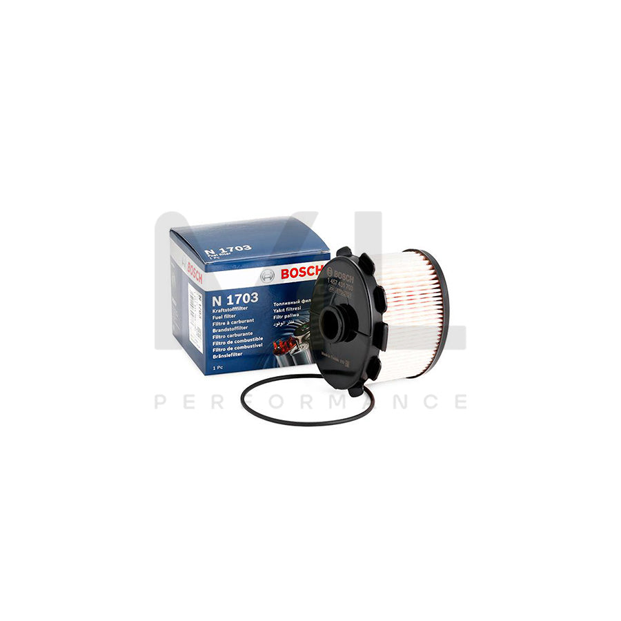 BOSCH Fuel Filter 1457431703  (N1703)
