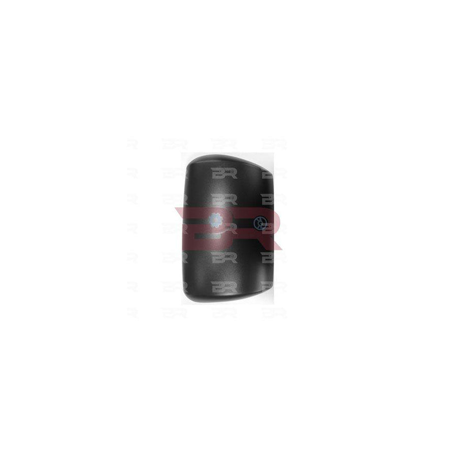 Botto Ricambi Brca8974 Cover, Outside Mirror
